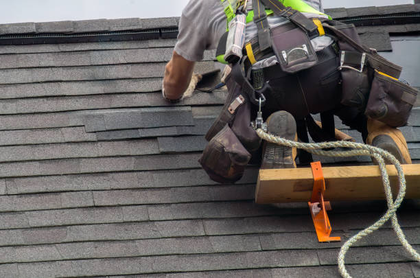 Roof Gutter Cleaning in Chino Hills, CA